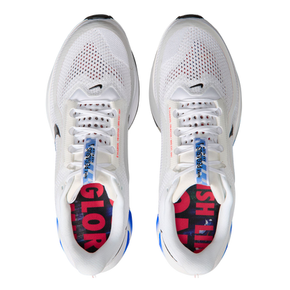 Nike Pegasus Premium CM