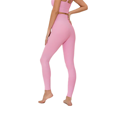Beach Riot  Tayler Legging